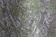 Conanby fibreglass roof work